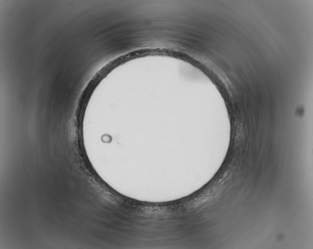 X0000116840927201001151244