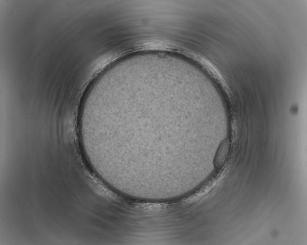 X0000116840930201001151244