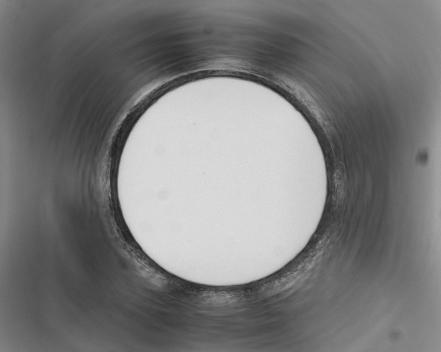 X0000116840931201001151244