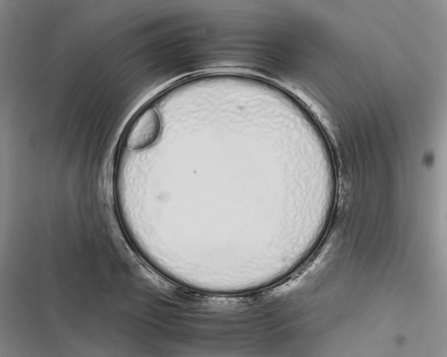 X0000116840933201001151244