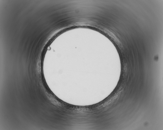 X0000116840934201001151244