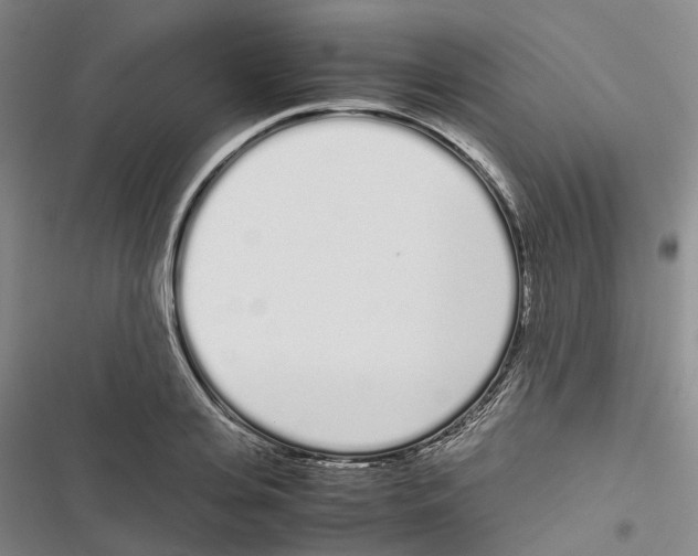 X0000116840935201001151244