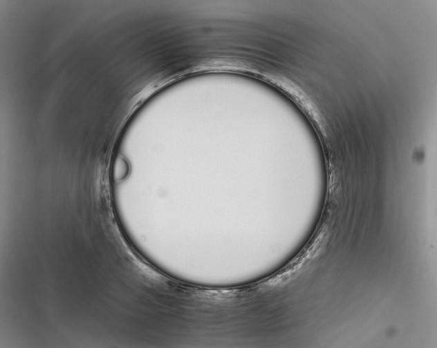 X0000116840937201001151244