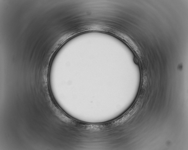 X0000116840938201001151244