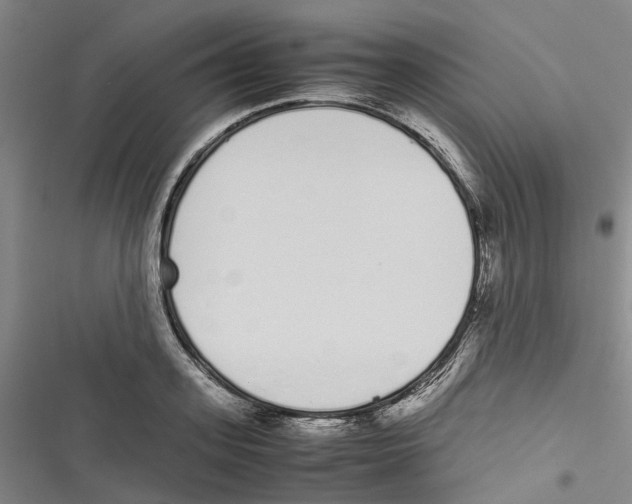 X0000116840939201001151244