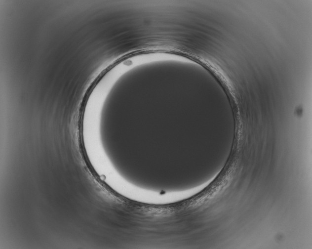 X0000116840941201001151244