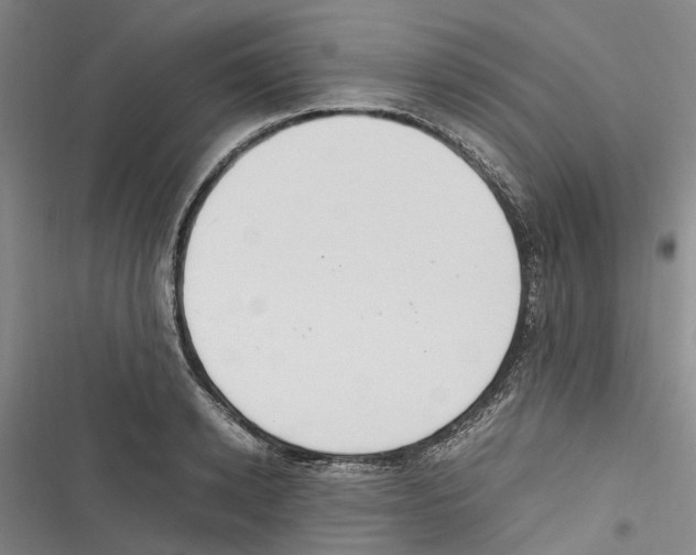 X0000116840942201001151244