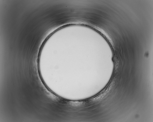 X0000116840943201001151244