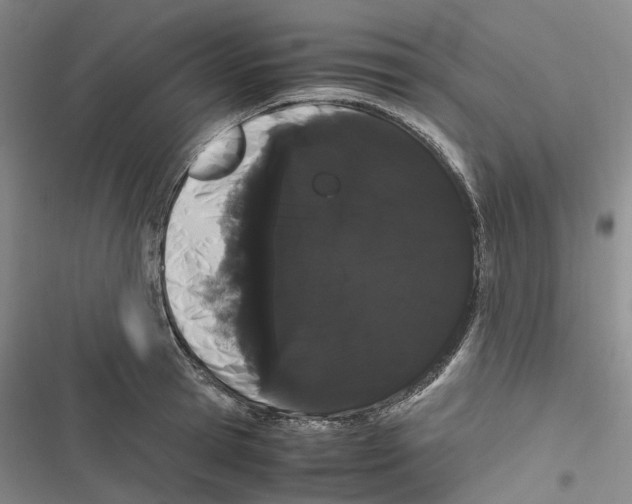 X0000116840945201001151244