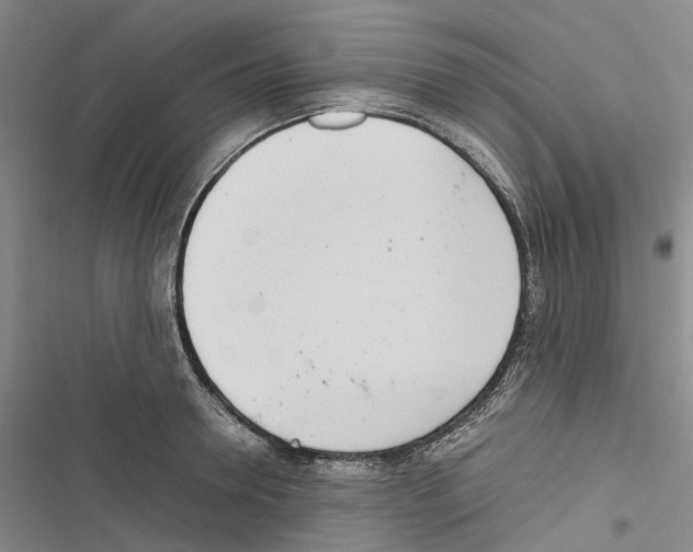 X0000116840946201001151244