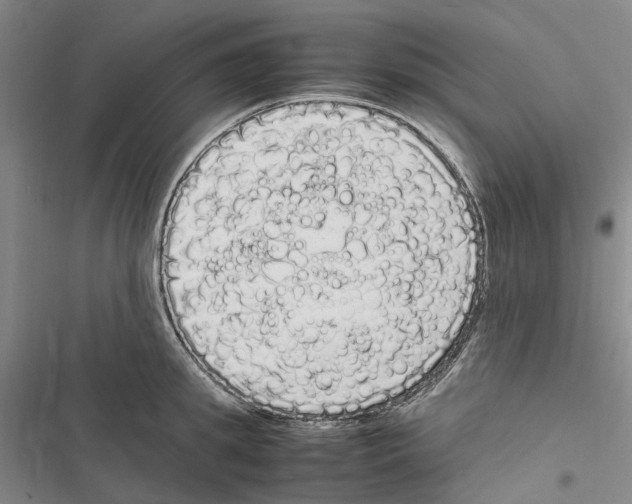 X0000116840949201001151244