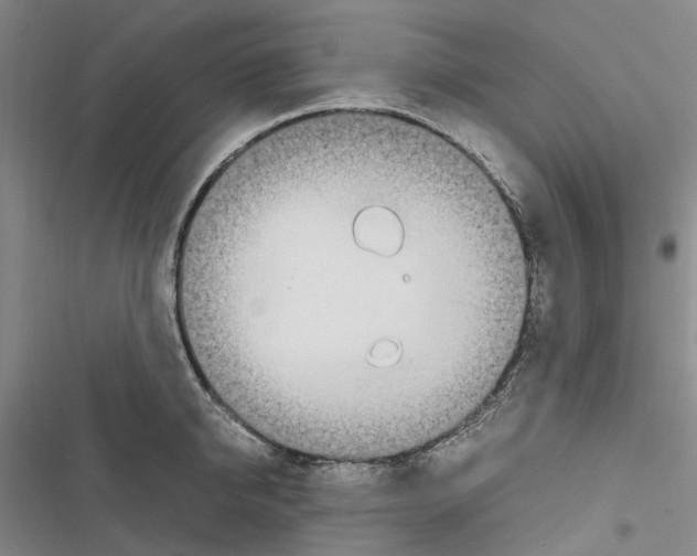 X0000116840950201001151244