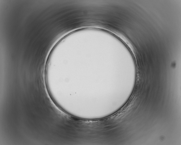 X0000116840951201001151244