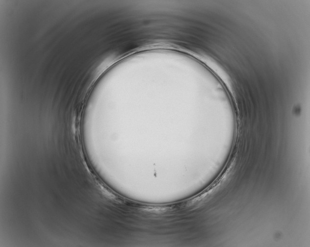 X0000116840953201001151244