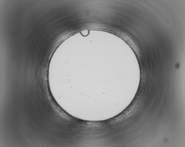 X0000116840954201001151244