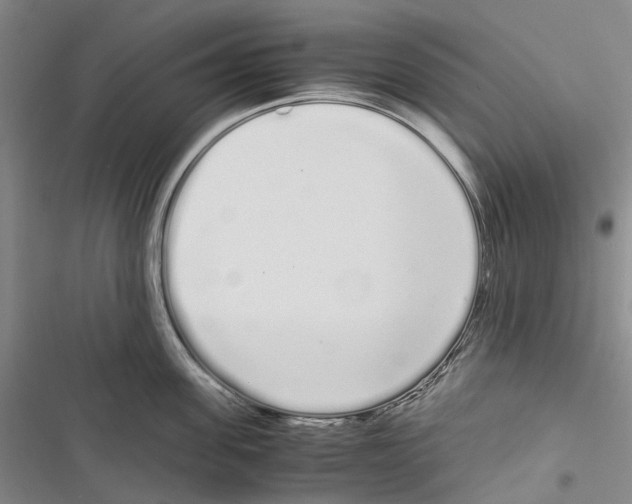 X0000116840955201001151244