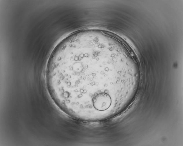 X0000116840957201001151244