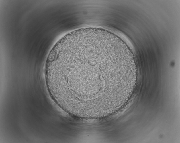 X0000116840958201001151244