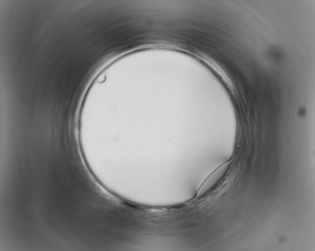 X0000116840959201001151244