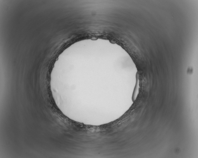 X0000116840961201001151244