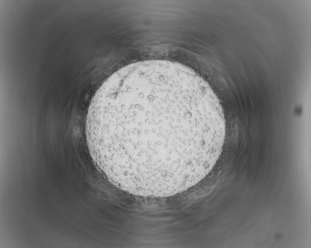 X0000116840962201001151244