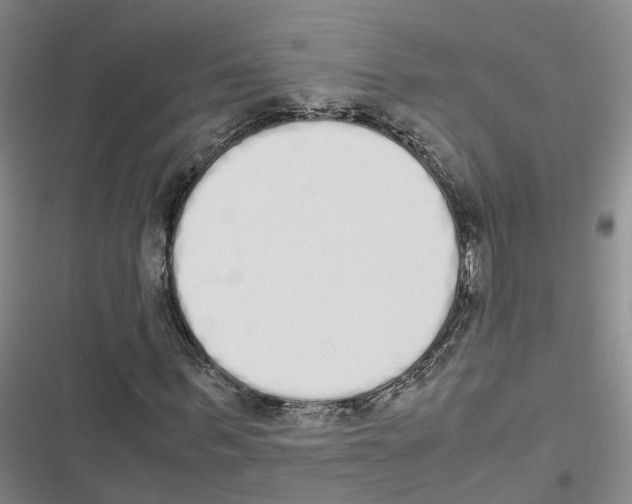 X0000116840963201001151244