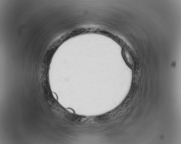 X0000116840967201001151244