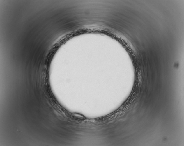 X0000116840968201001151244