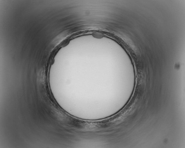 X0000116840969201001151244