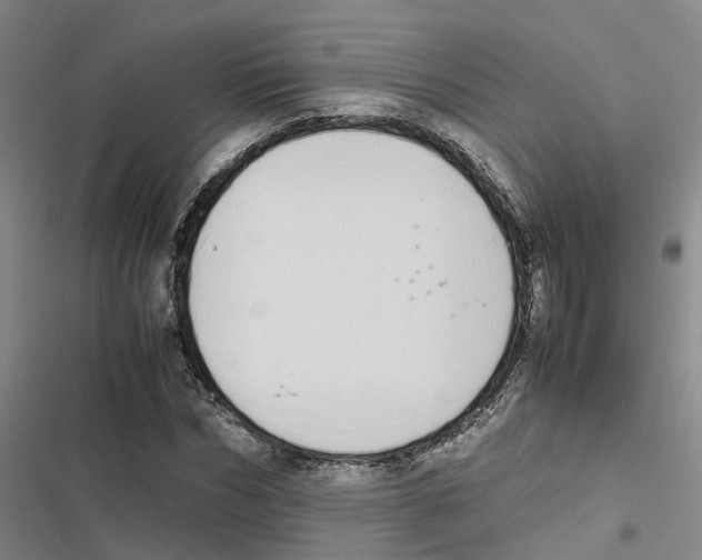 X0000116840970201001151244