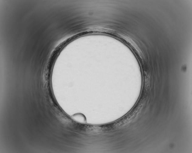 X0000116840971201001151244