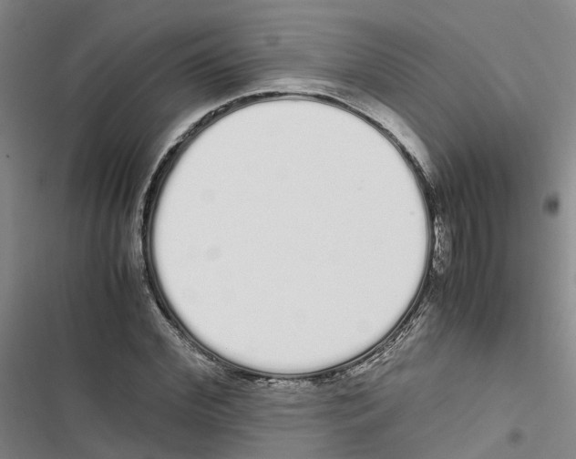 X0000116840972201001151244