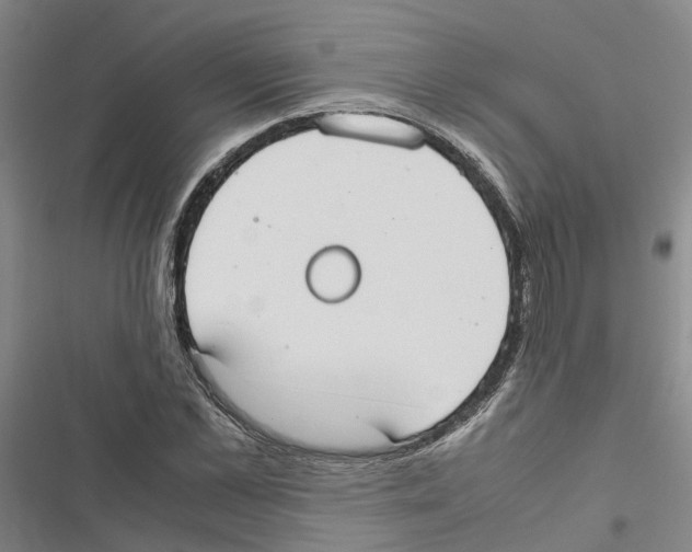 X0000116840973201001151244