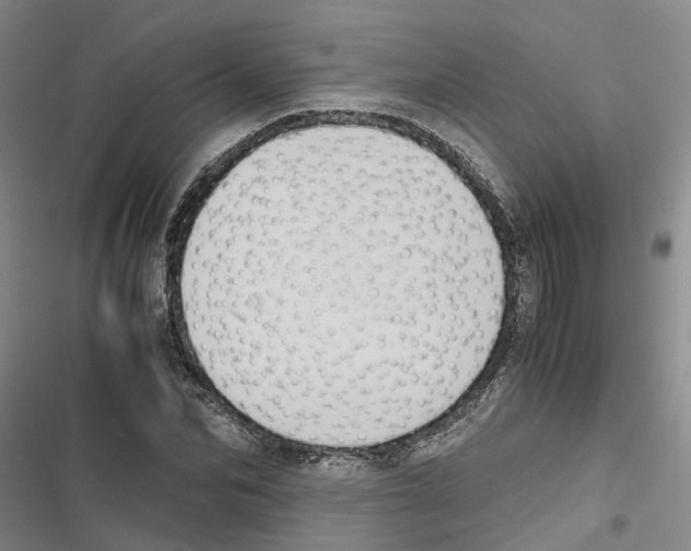 X0000116840974201001151244