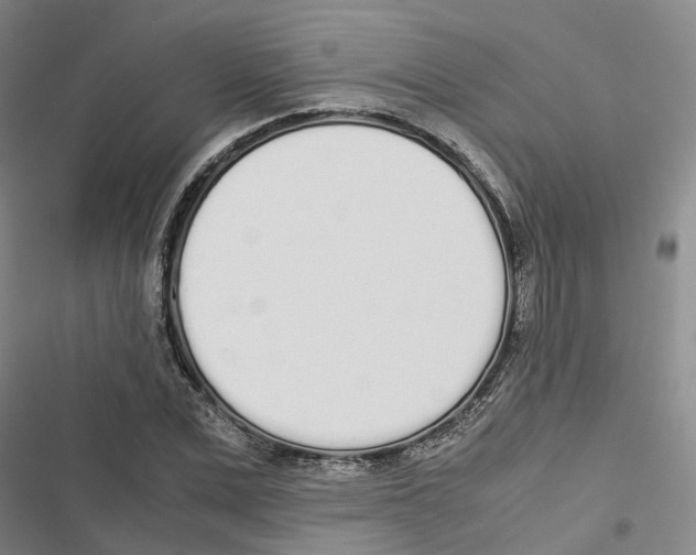 X0000116840975201001151244