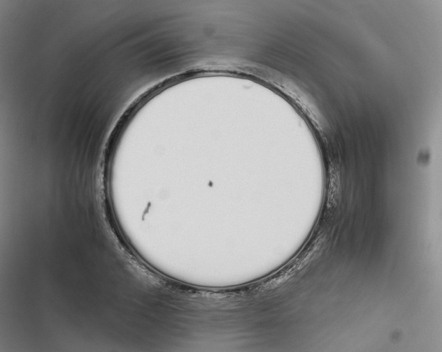 X0000116840976201001151243