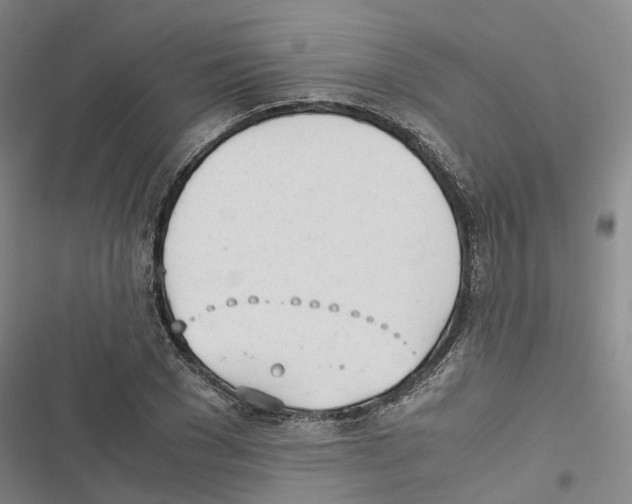 X0000116840977201001151243