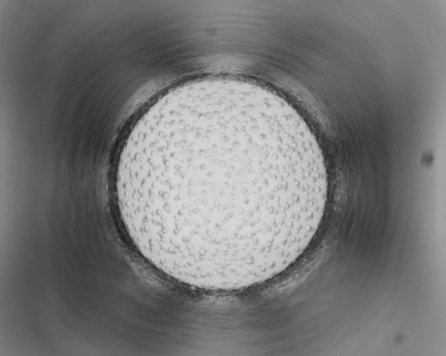 X0000116840978201001151243