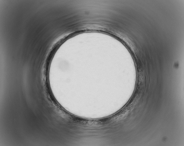 X0000116840979201001151243