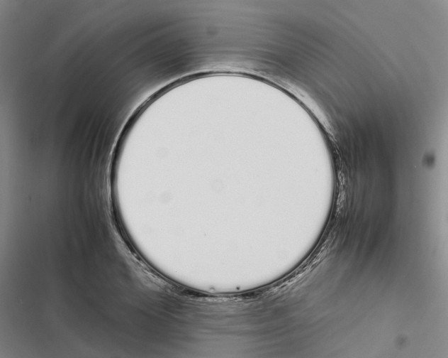 X0000116840980201001151243