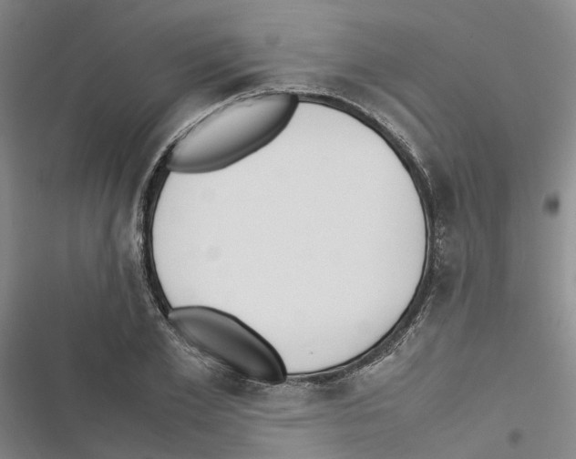 X0000116840981201001151243