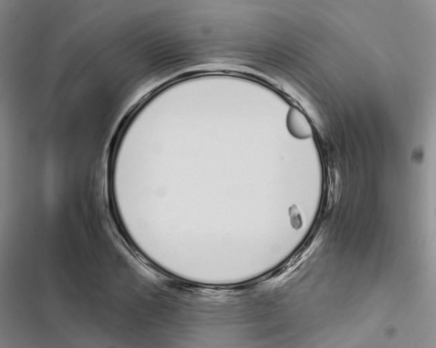 X0000116840982201001151243