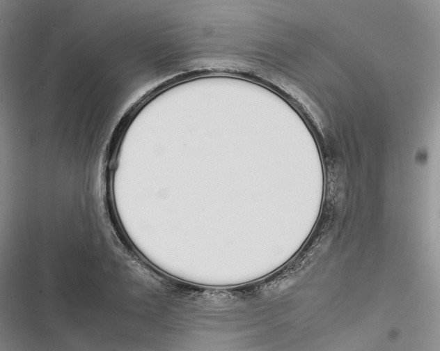 X0000116840983201001151243