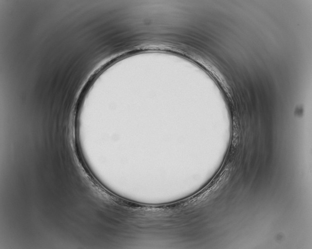 X0000116840984201001151243