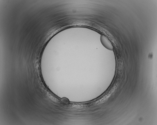 X0000116840985201001151243