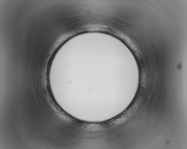 X0000116840986201001151243