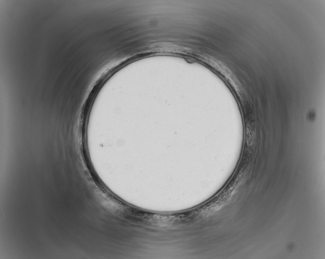 X0000116840987201001151243