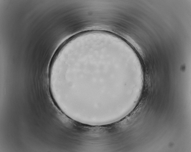 X0000116840988201001151243