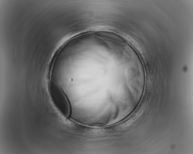 X0000116840989201001151243