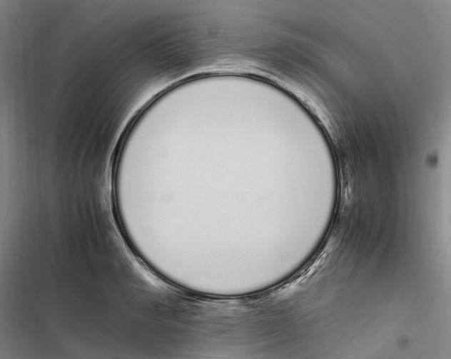 X0000116840990201001151243